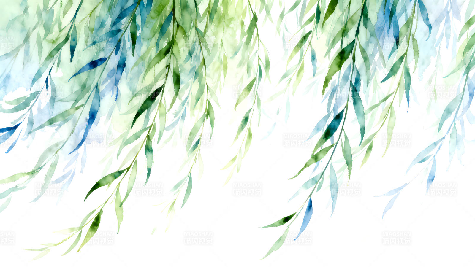 水彩柳枝清新风格图片