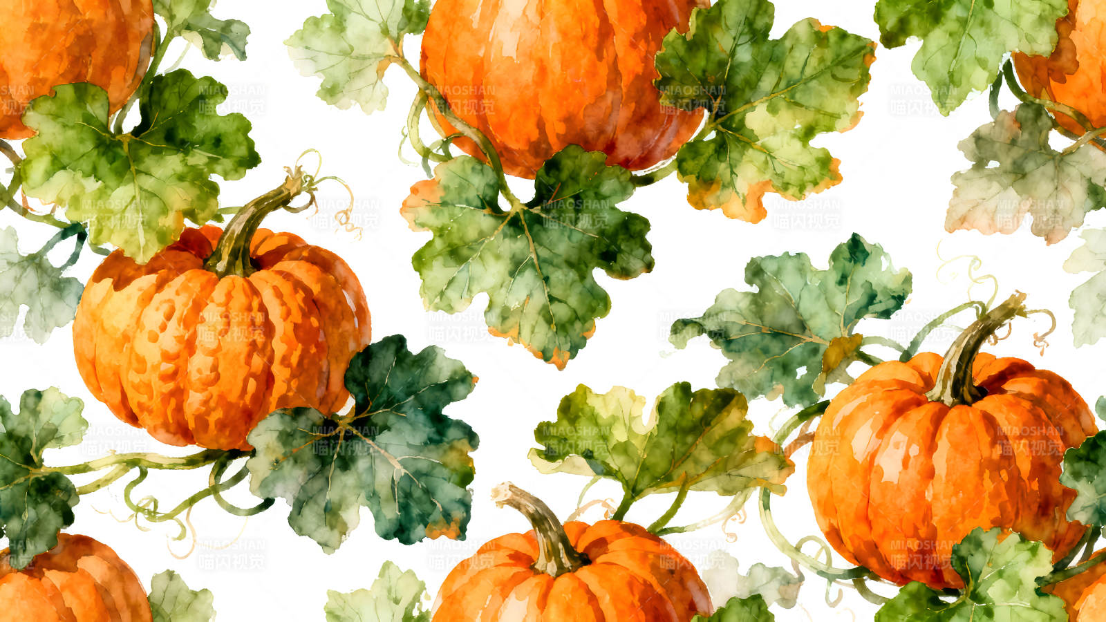 秋季南瓜与叶子水彩画图片
