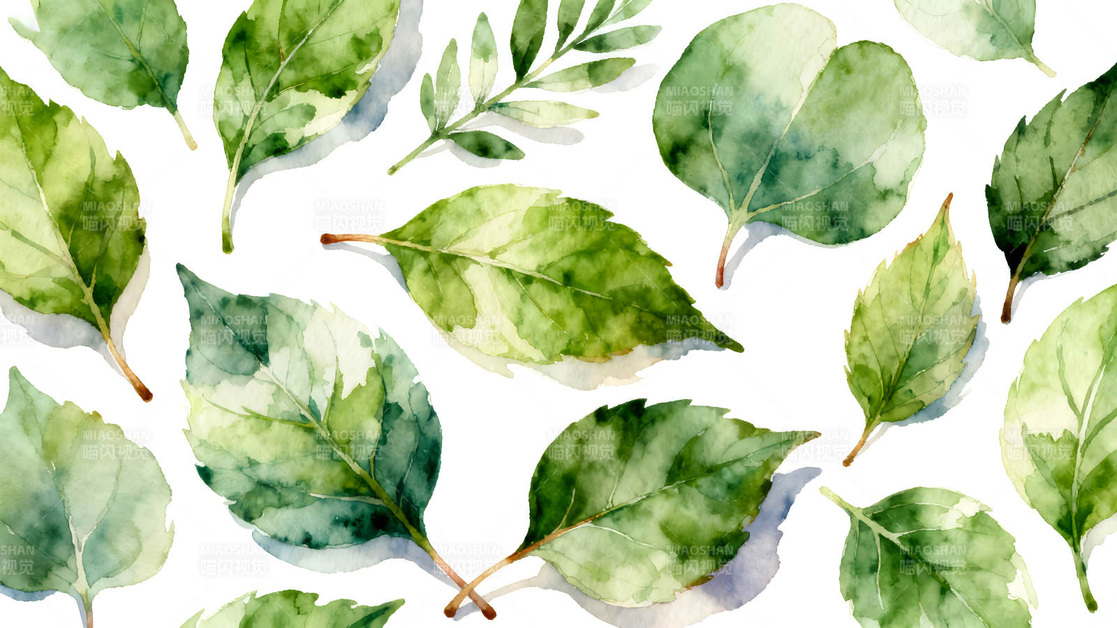 水彩绿叶背景图图片