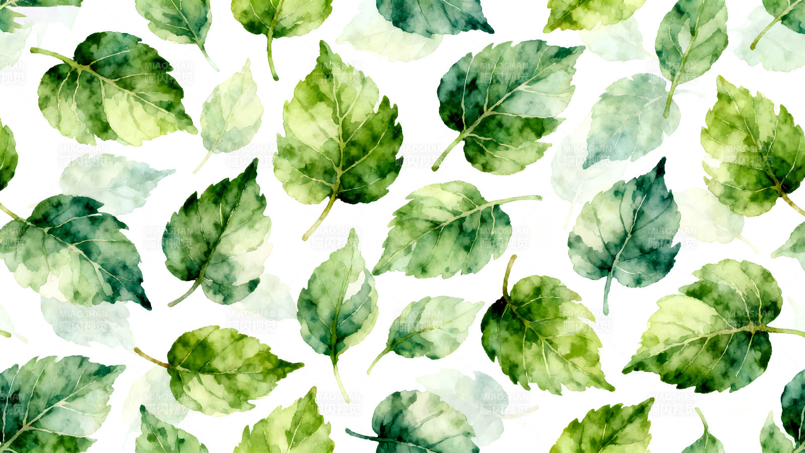 水彩叶子图案清新唯美图片