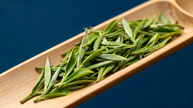 竹盘中的嫩绿茶叶特写图片