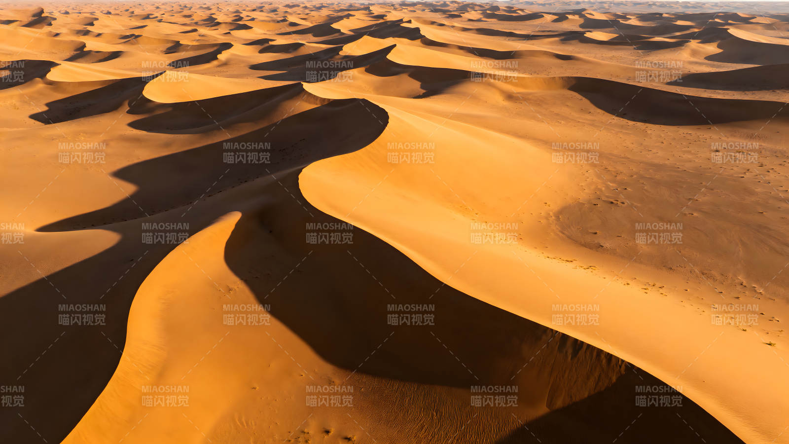 沙漠沙丘在阳光下呈现波浪状图片