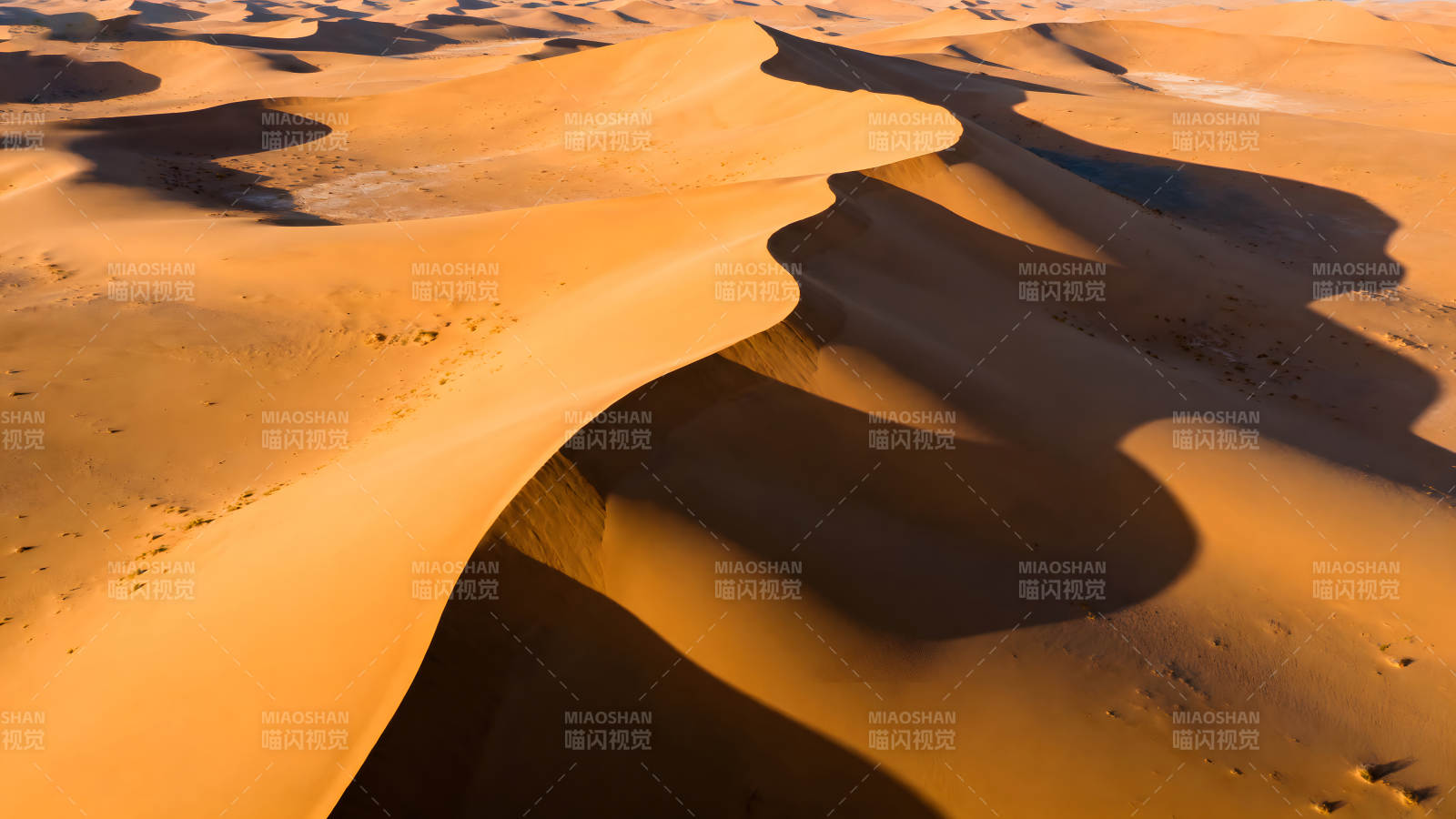 沙漠沙丘在阳光照射下的景象图片