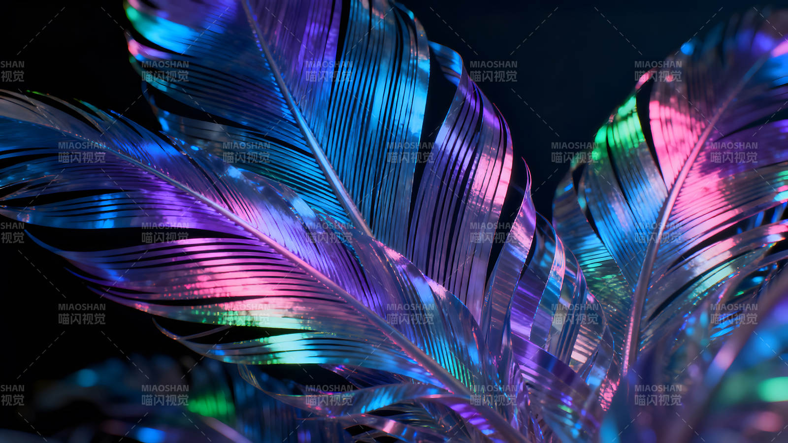 光彩夺目的羽毛特殊色彩图片