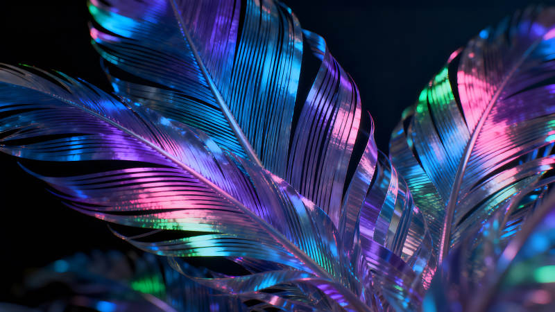 光彩夺目的羽毛特殊色彩图片