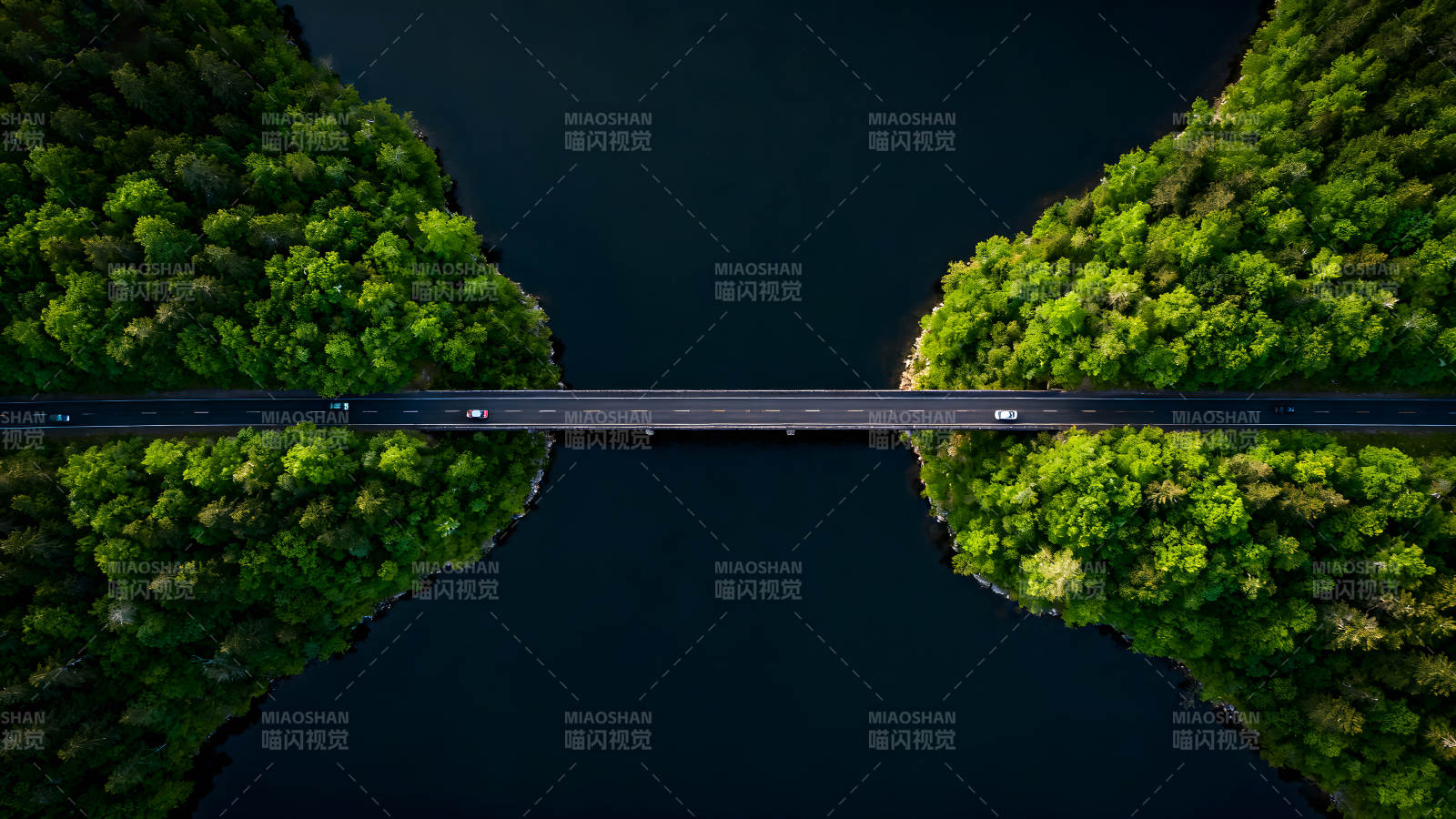 桥梁穿越森林连接着湖泊图片