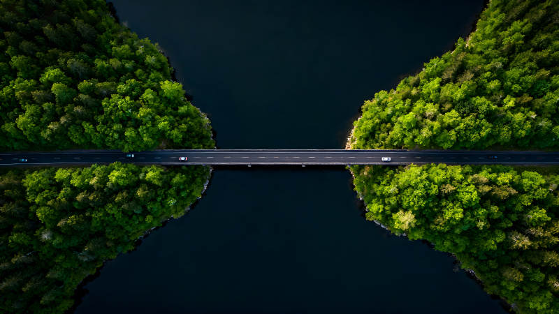 桥梁穿越森林连接着湖泊图片