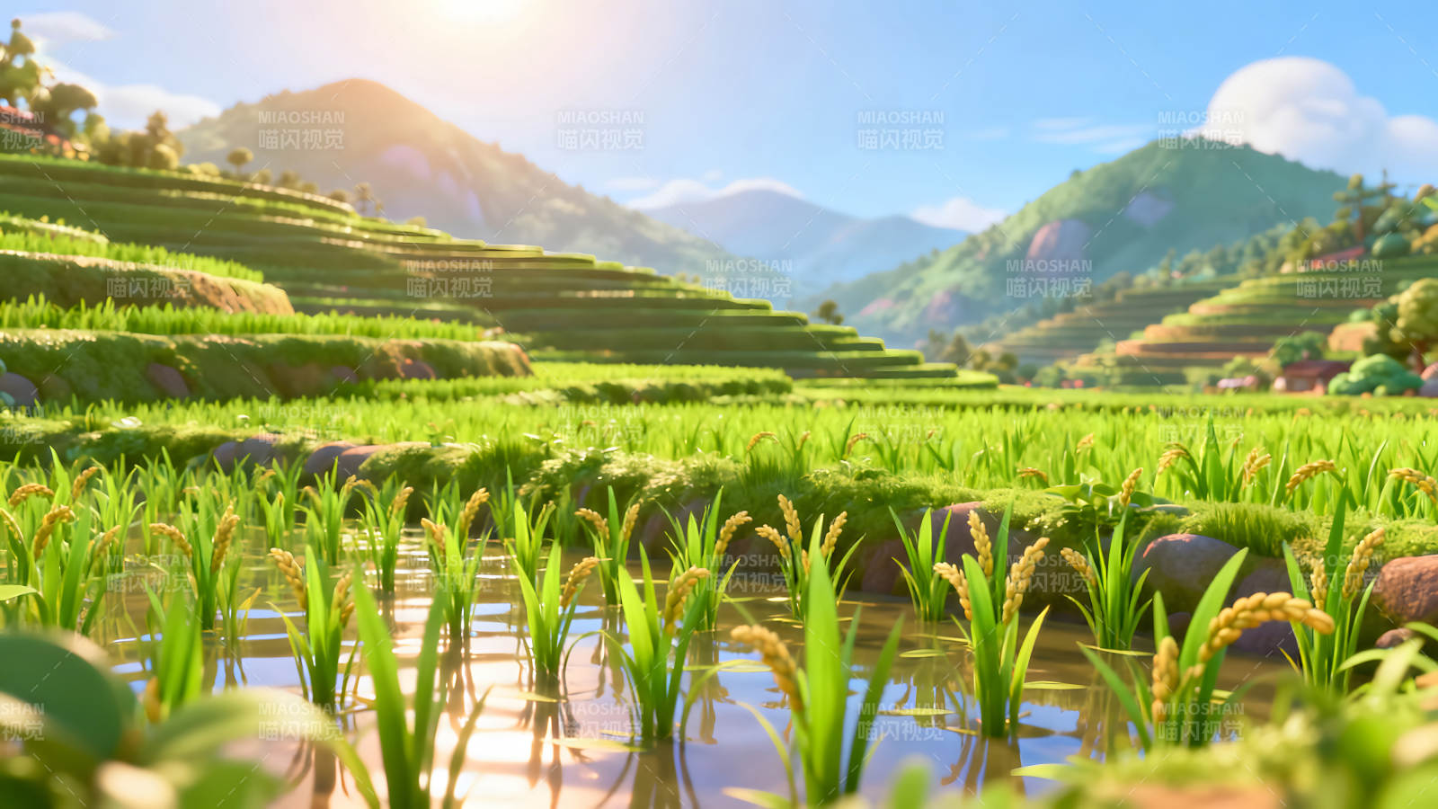 梯田风光稻浪丰收金色稻穗碧水蓝天图片