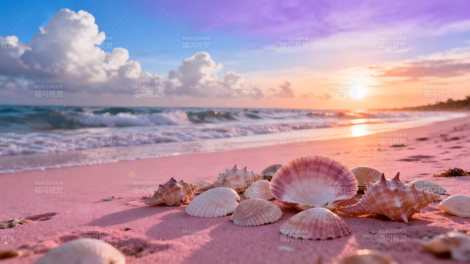 粉色沙滩贝壳夕阳美景图片