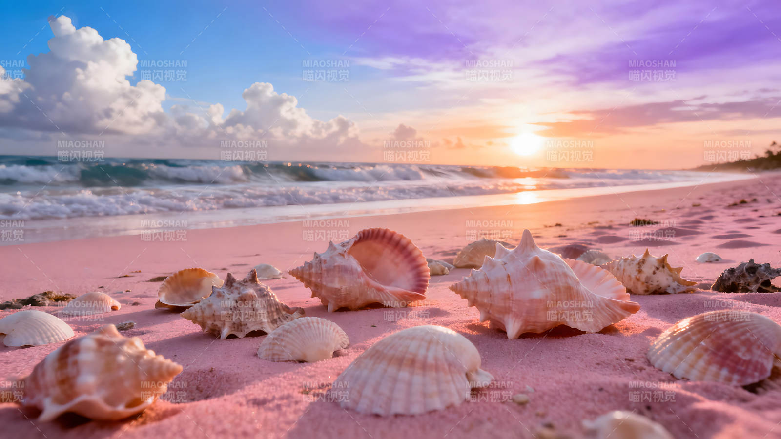 粉色沙滩贝壳日落美景图片