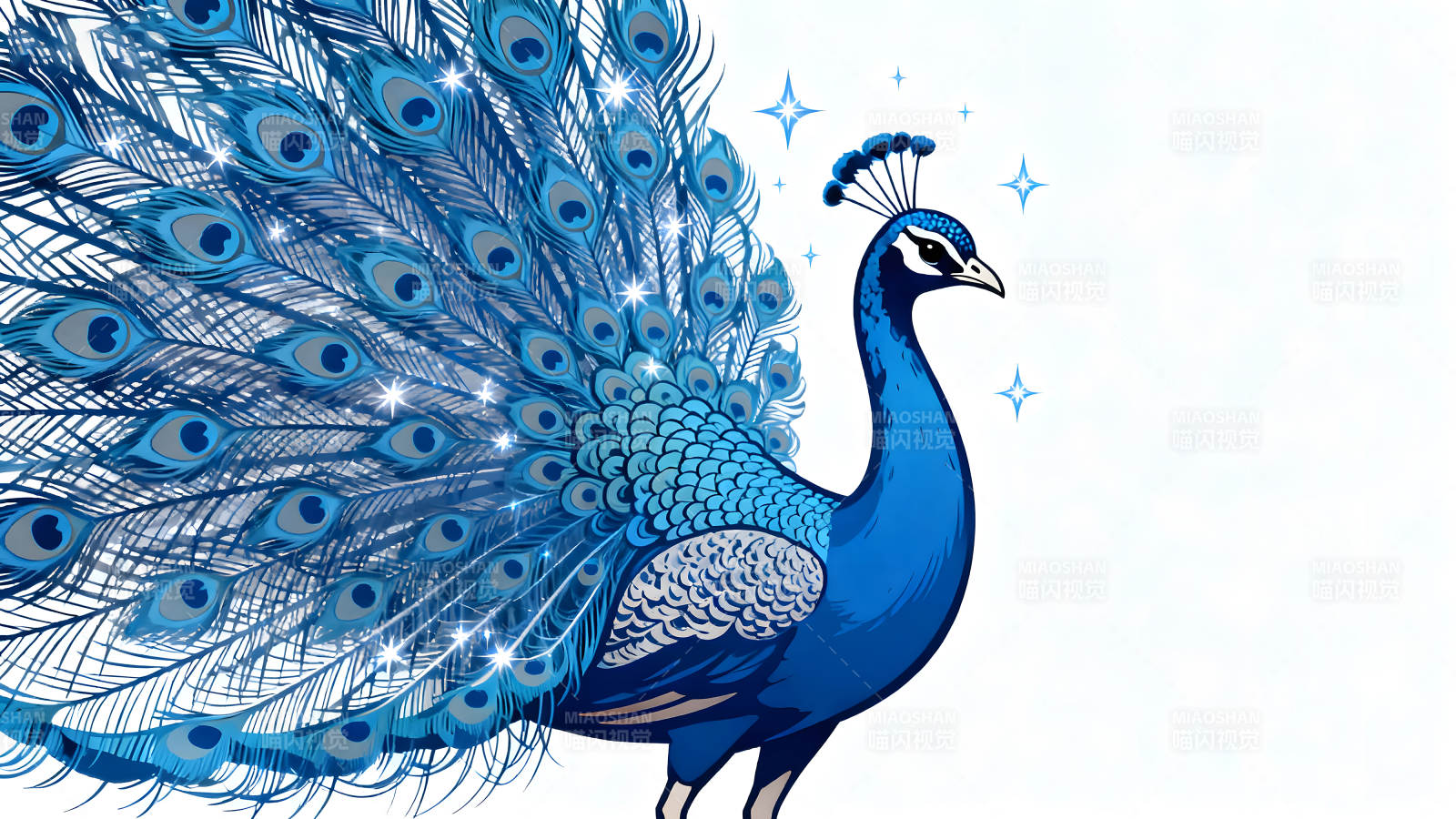 蓝孔雀开屏展示美丽羽毛图片