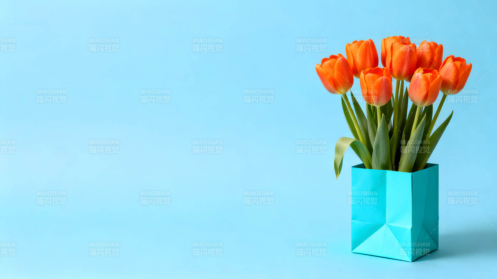 橙色郁金香蓝色背景图片