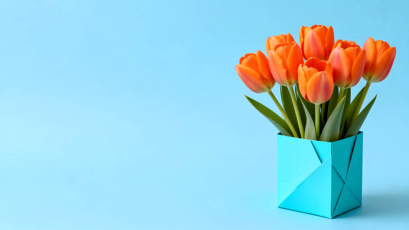 橙色郁金香插花蓝色背景简约风格图片