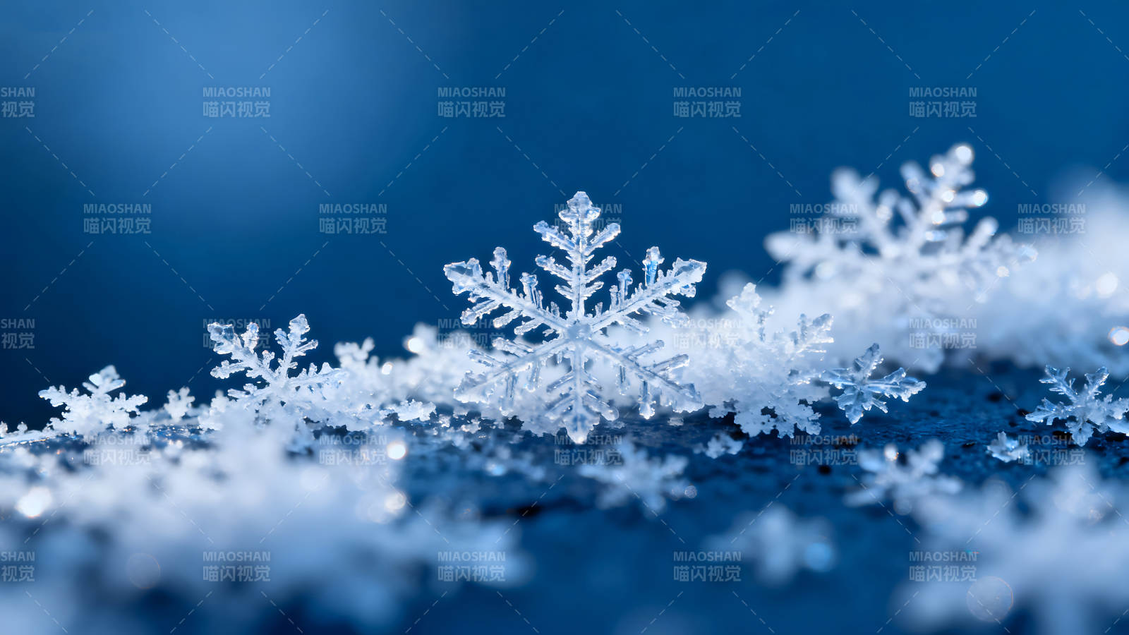 晶莹剔透的雪花特写图片