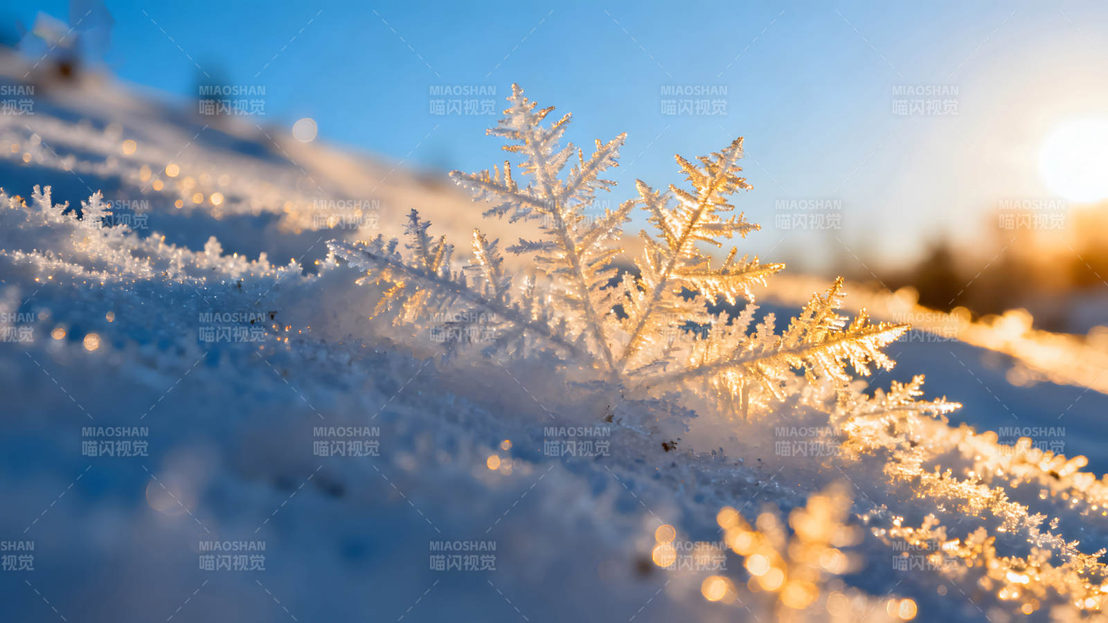 雪花晶莹剔透阳光照射图片