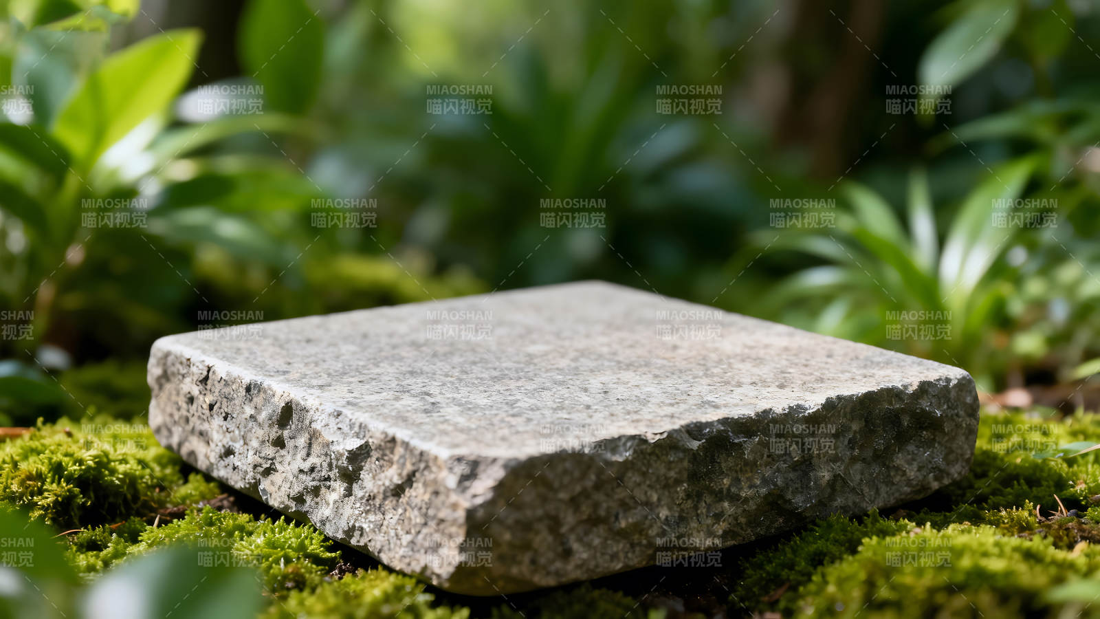 石头平台置于绿植中自然氛围图片