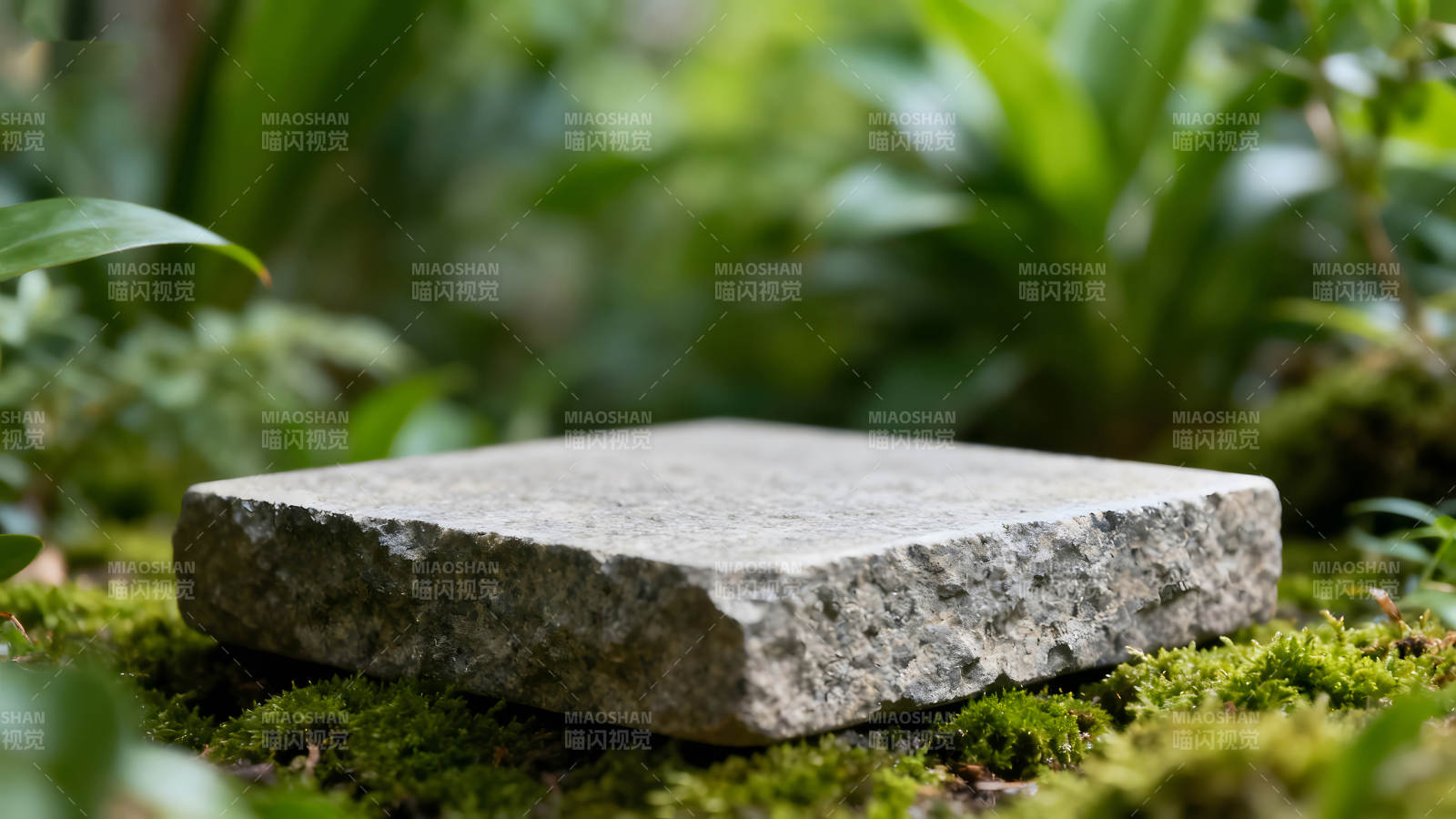 石板置于青苔之中背景是绿植图片