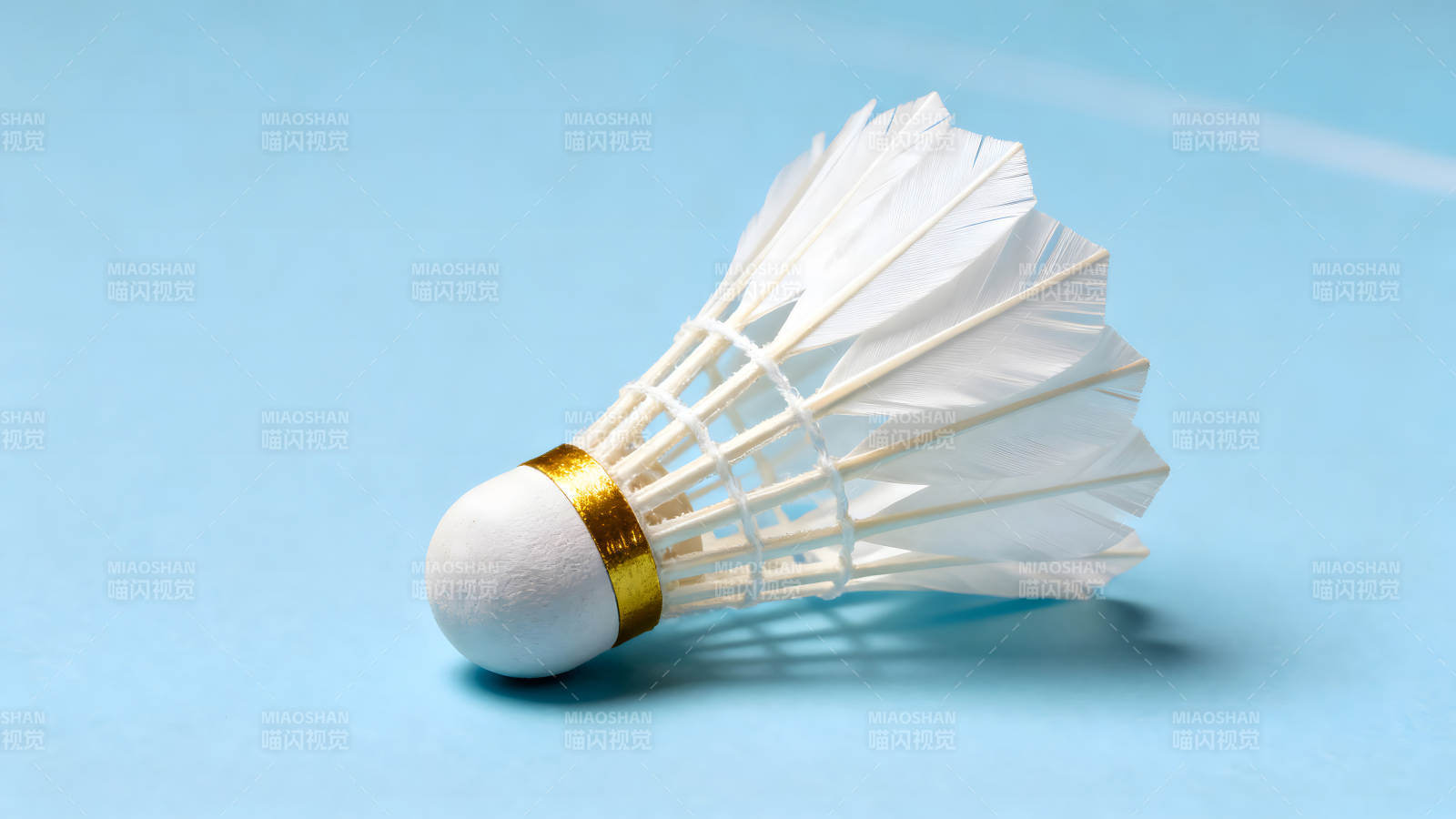 羽毛球特写蓝底羽毛球图片