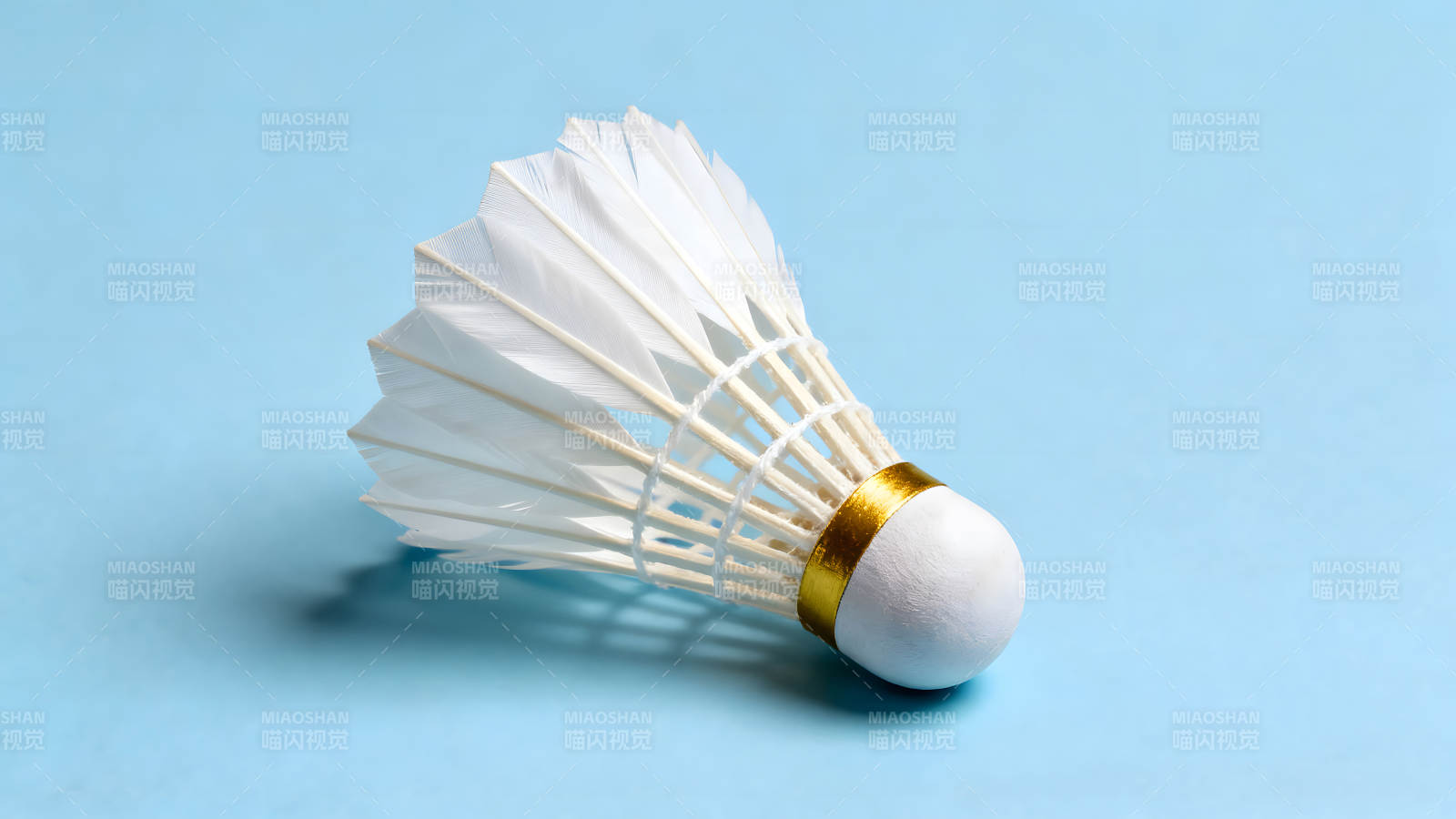 羽毛球特写蓝背景图片