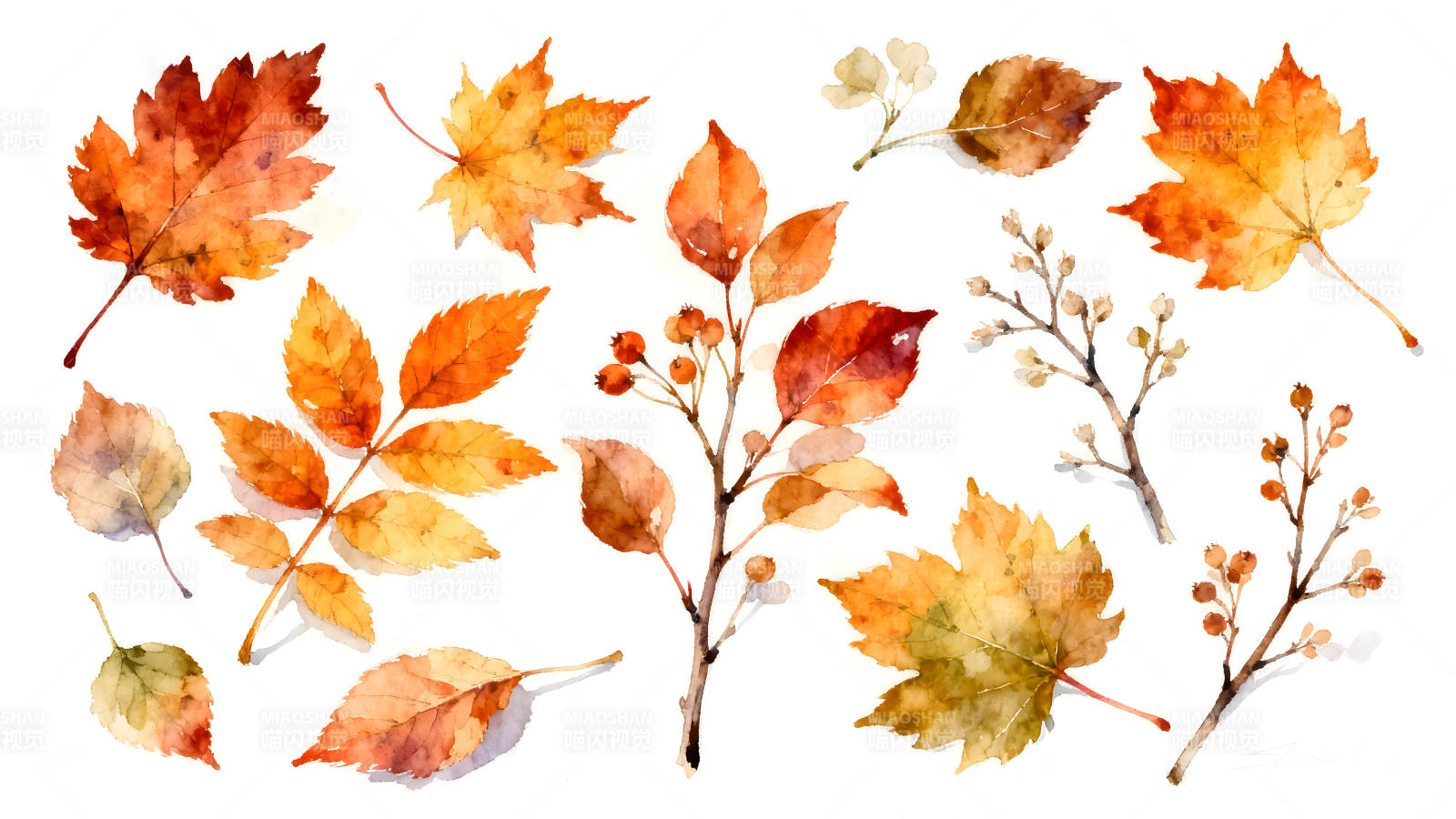 秋日落叶水彩画图片