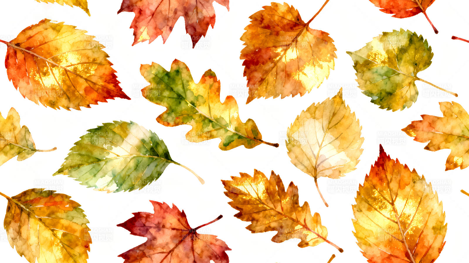秋日落叶的唯美水彩图案图片