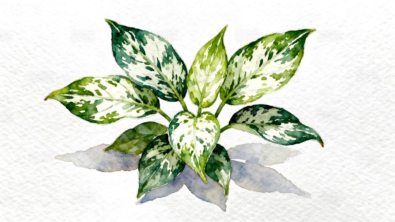 水彩手绘植物叶子艺术品图片