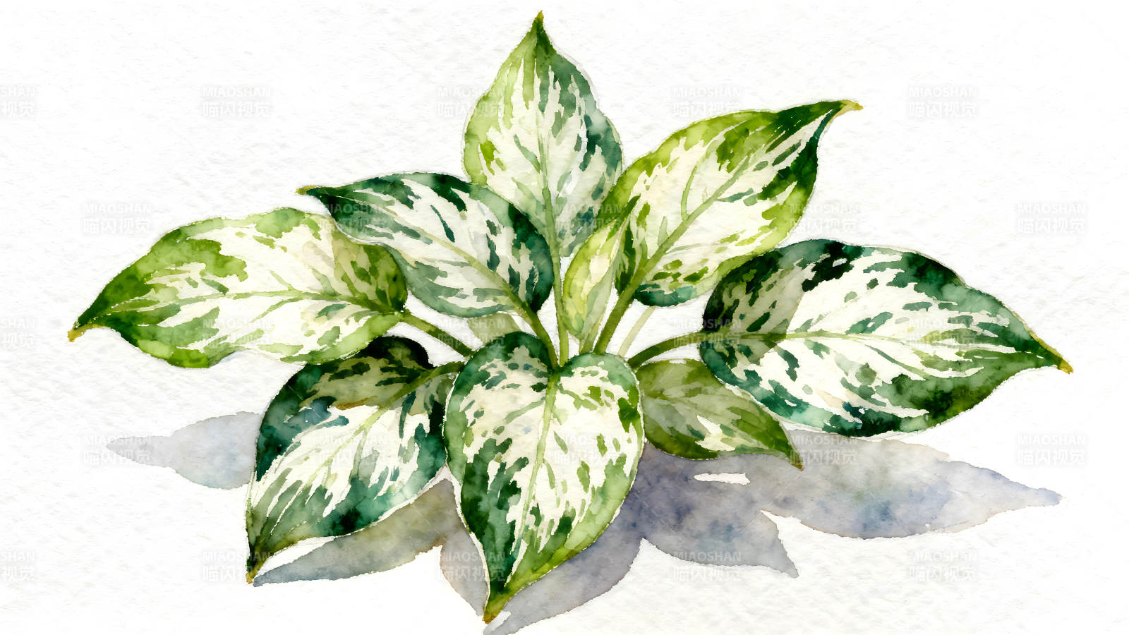 水彩植物绿叶绽放图片