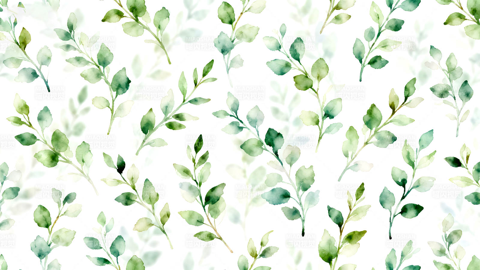 水彩绿色叶子在白色背景上图片