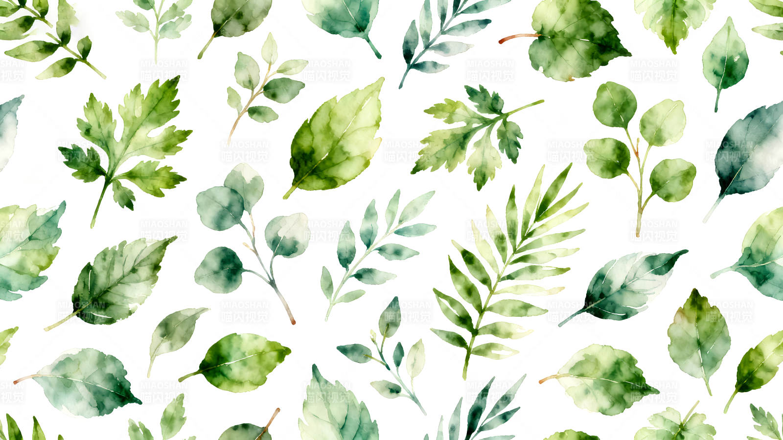 水彩风格的绿色植物叶片图案图片