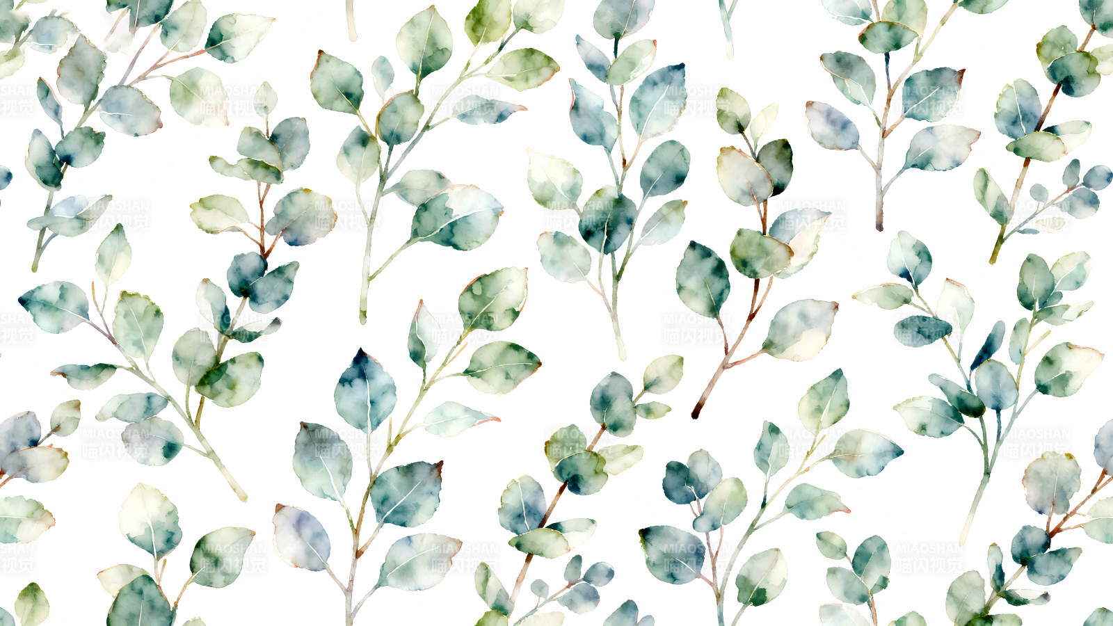 水彩风格的桉树叶子图案图片