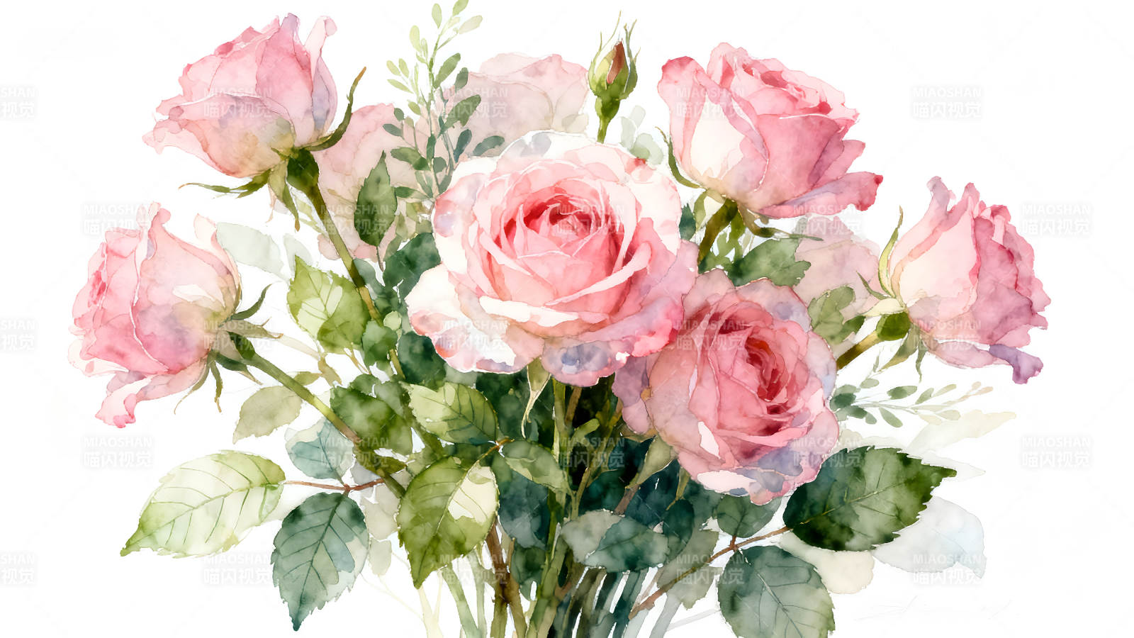 水彩粉色玫瑰花束图图片