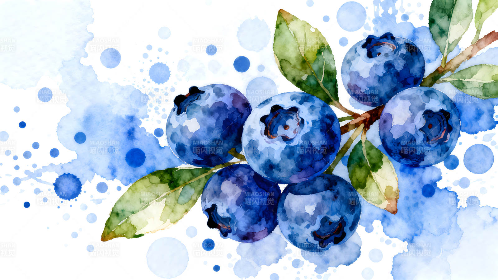 水彩蓝莓枝上果实和蓝点图片