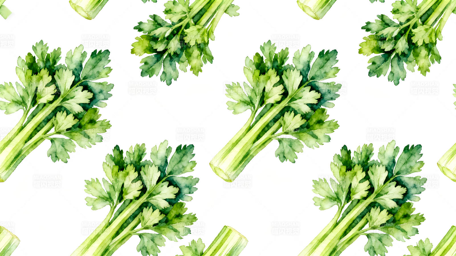 水彩风格的芹菜平铺图案图片