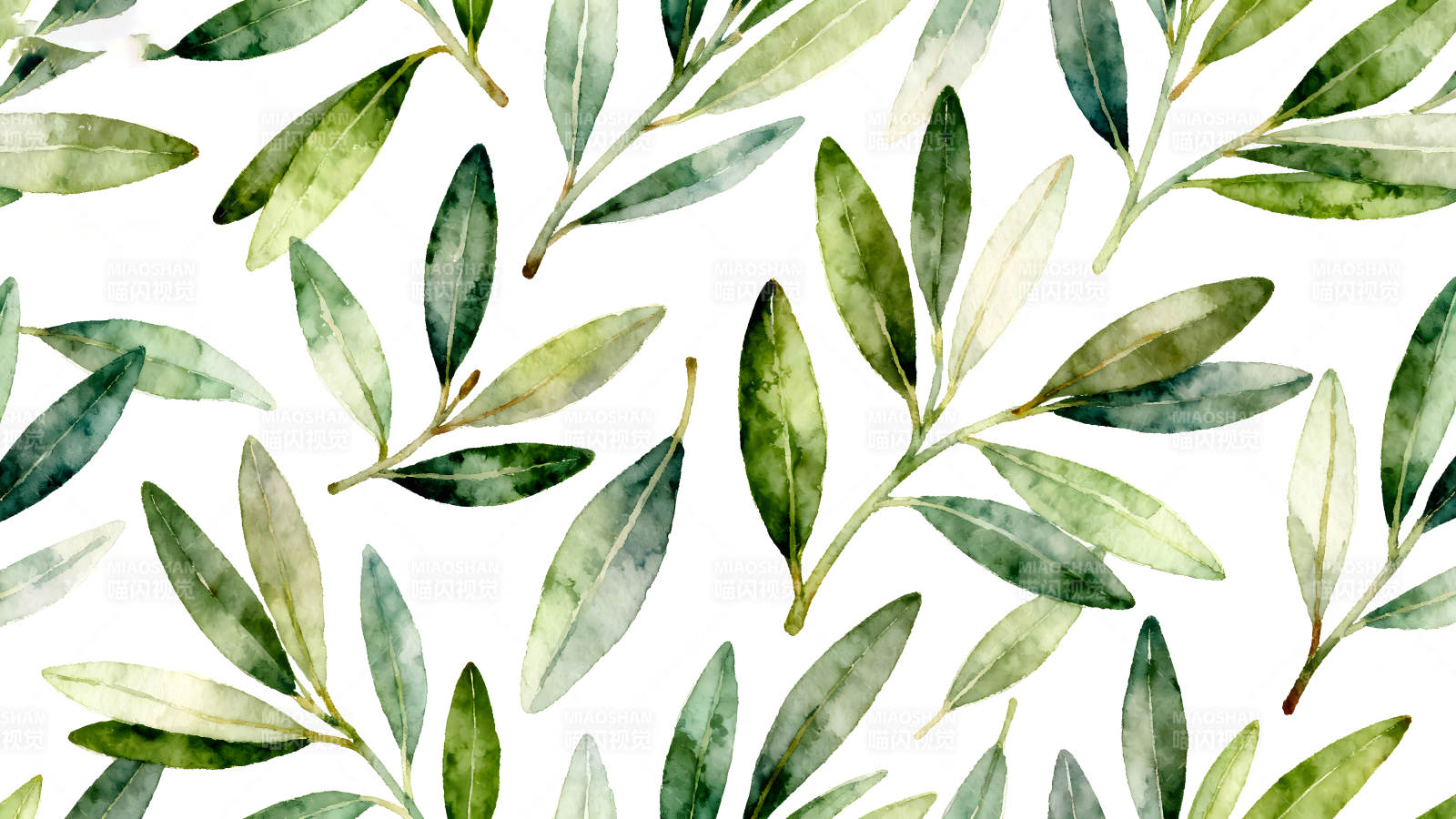 水彩风格的橄榄叶图案图片