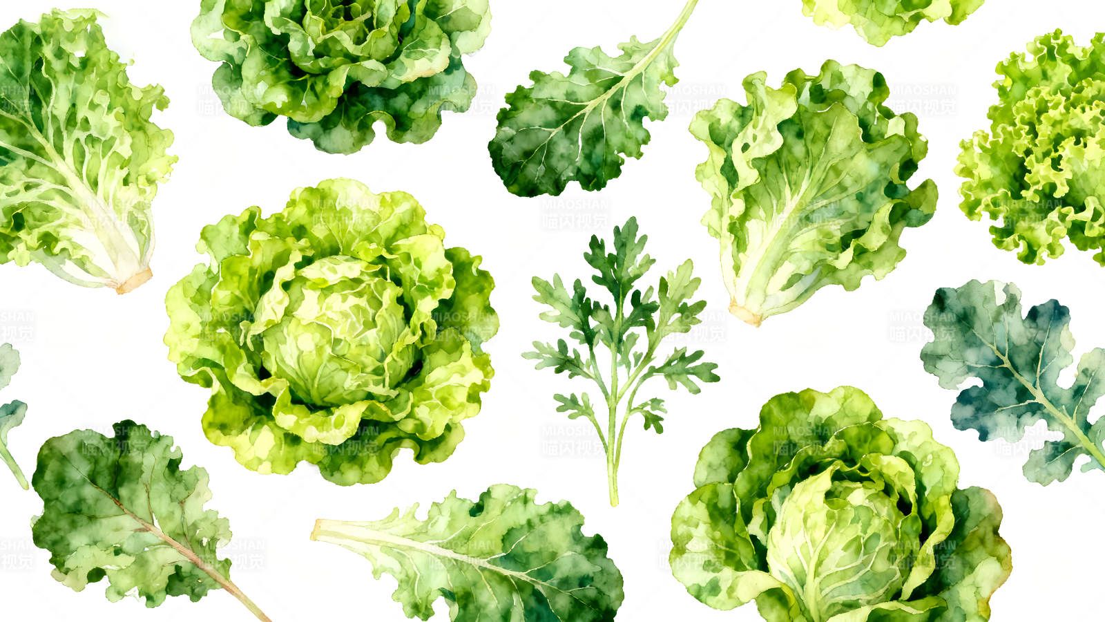 水彩蔬菜图案图片