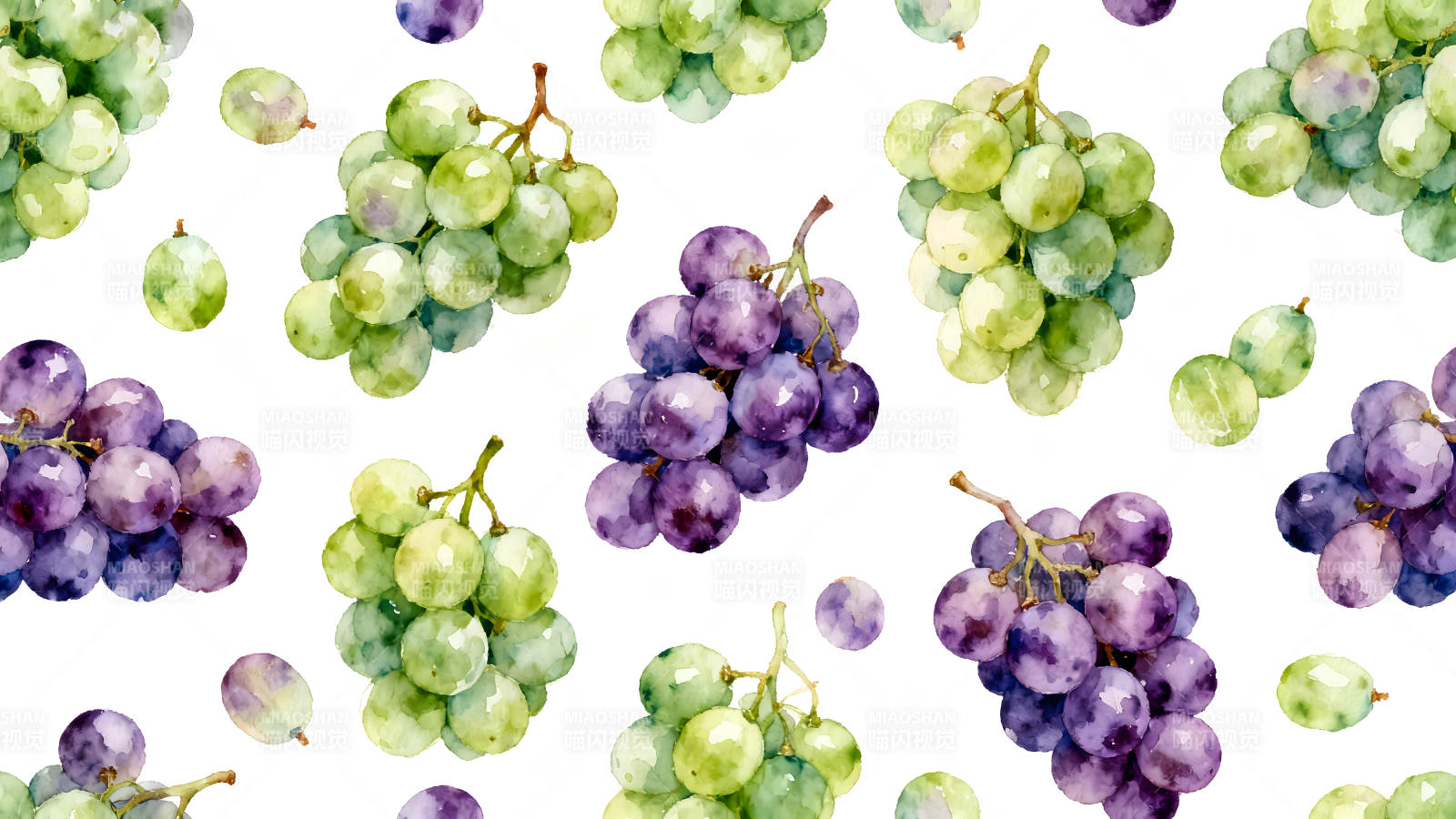 水彩葡萄图案白色背景图片