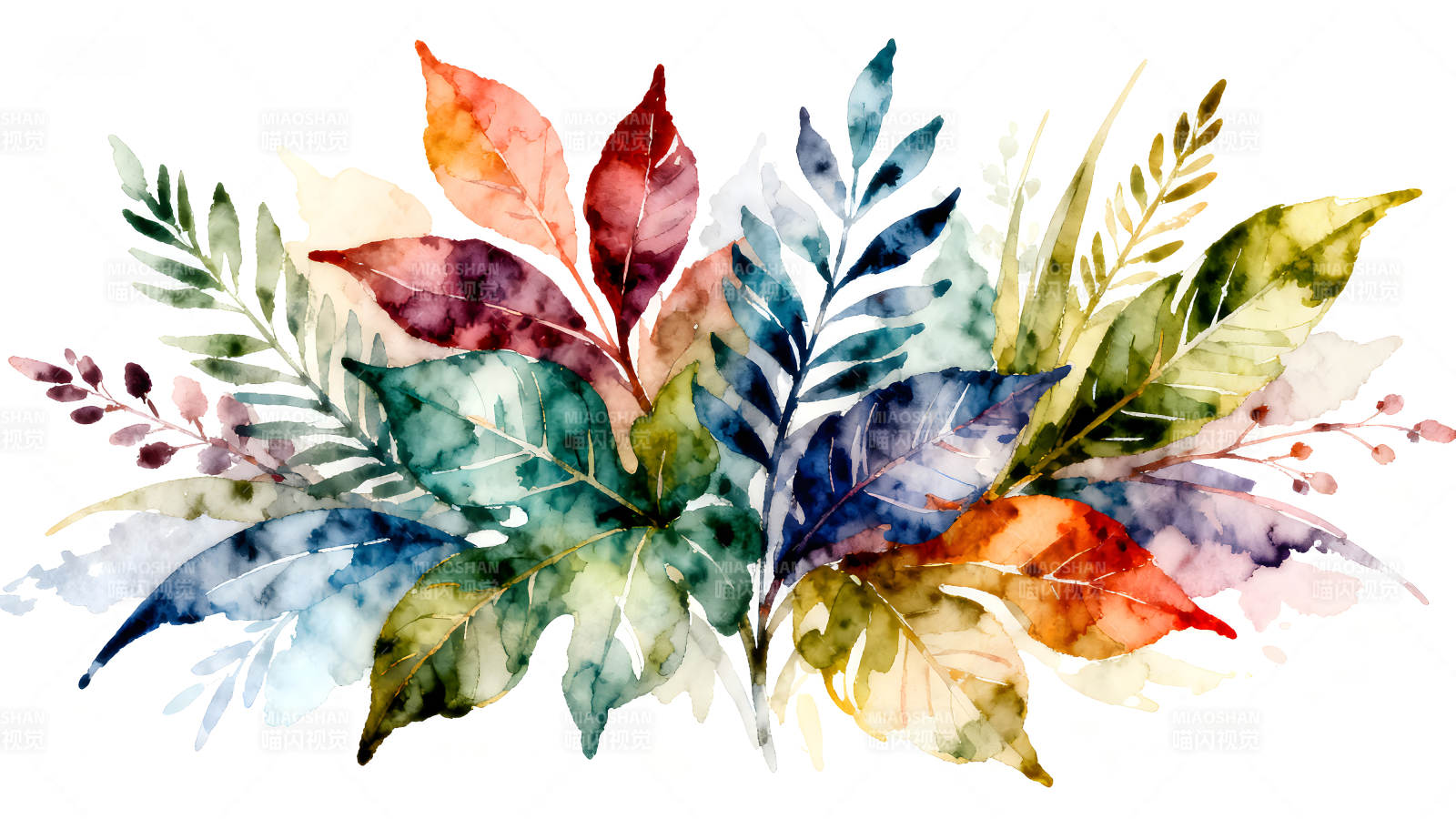 水彩风格的植物叶子组合图片