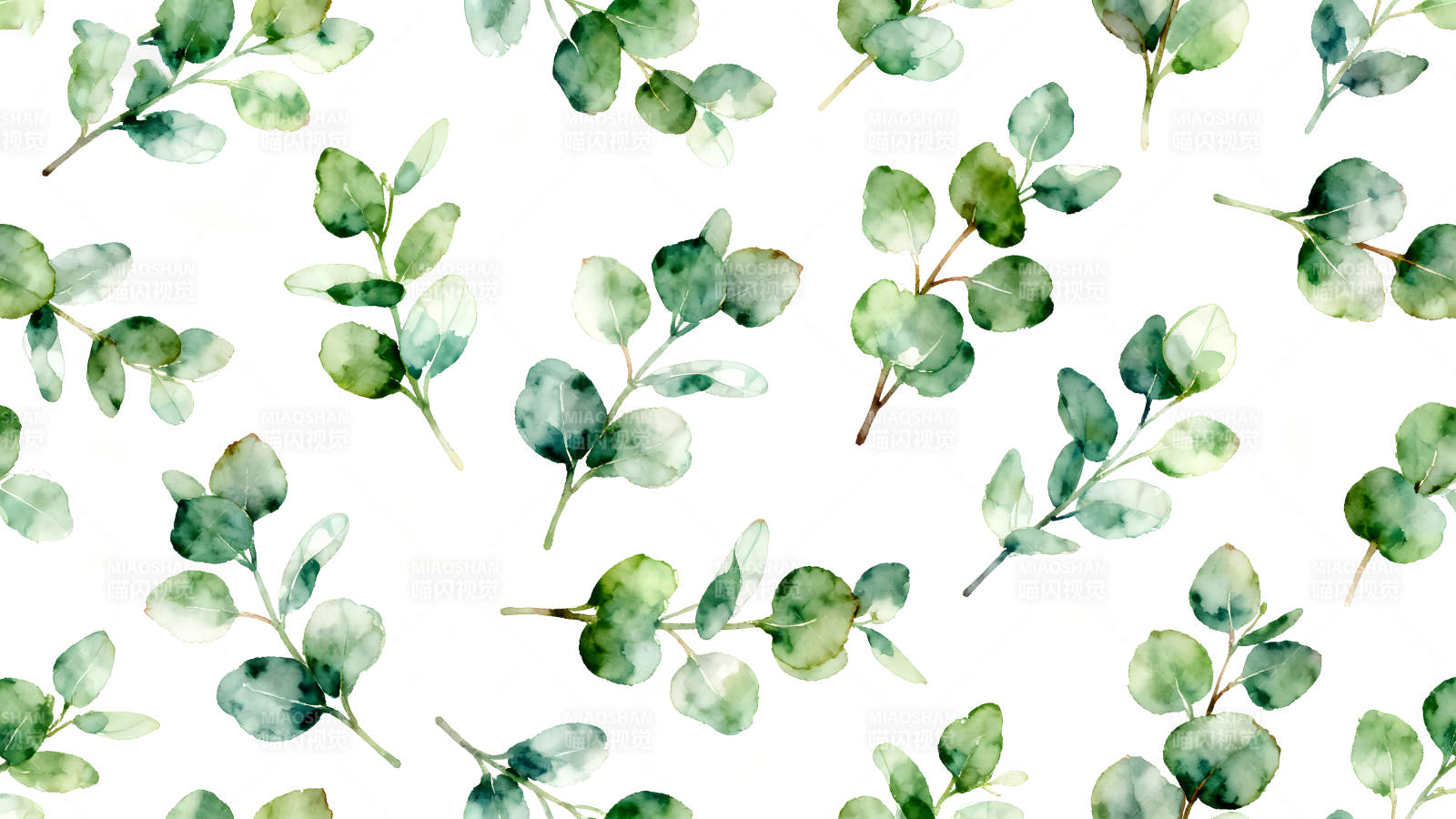 水彩桉树叶子图案图片