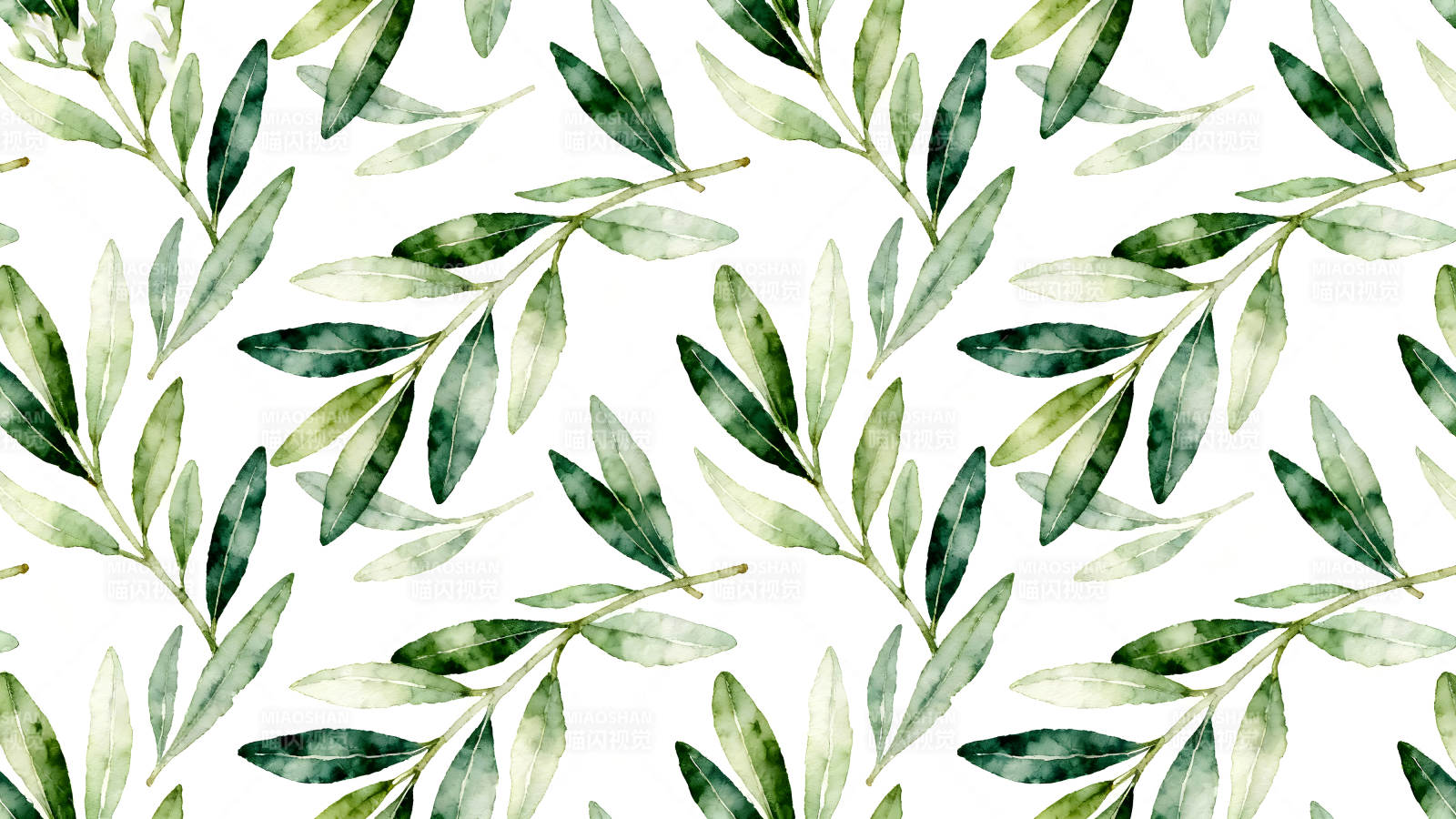 水彩风橄榄叶图案简洁清新图片