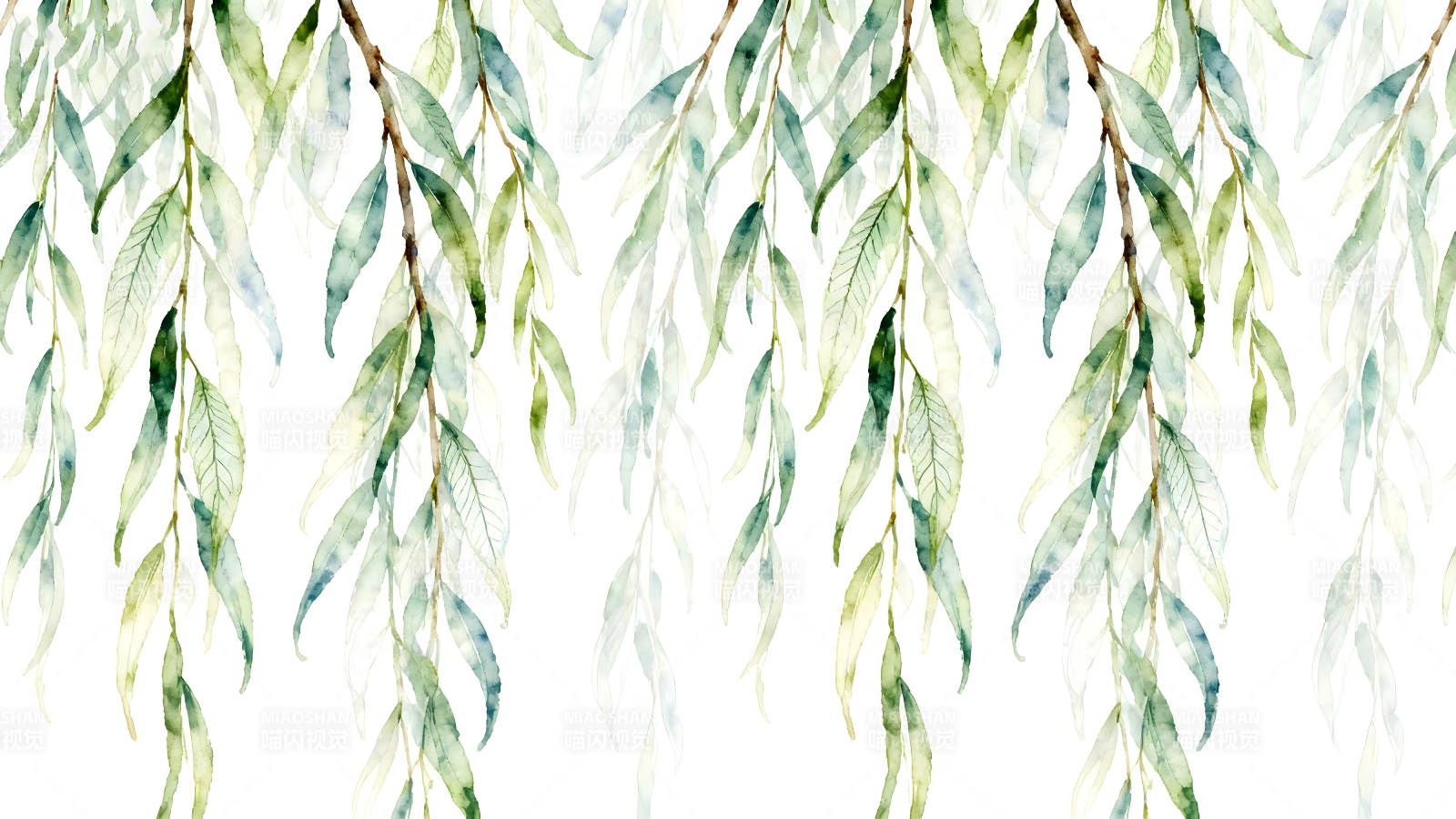 水彩柳枝叶片绘画背景图片