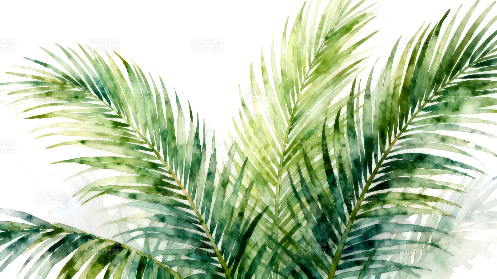 水彩风格棕榈叶绿色清新背景图片