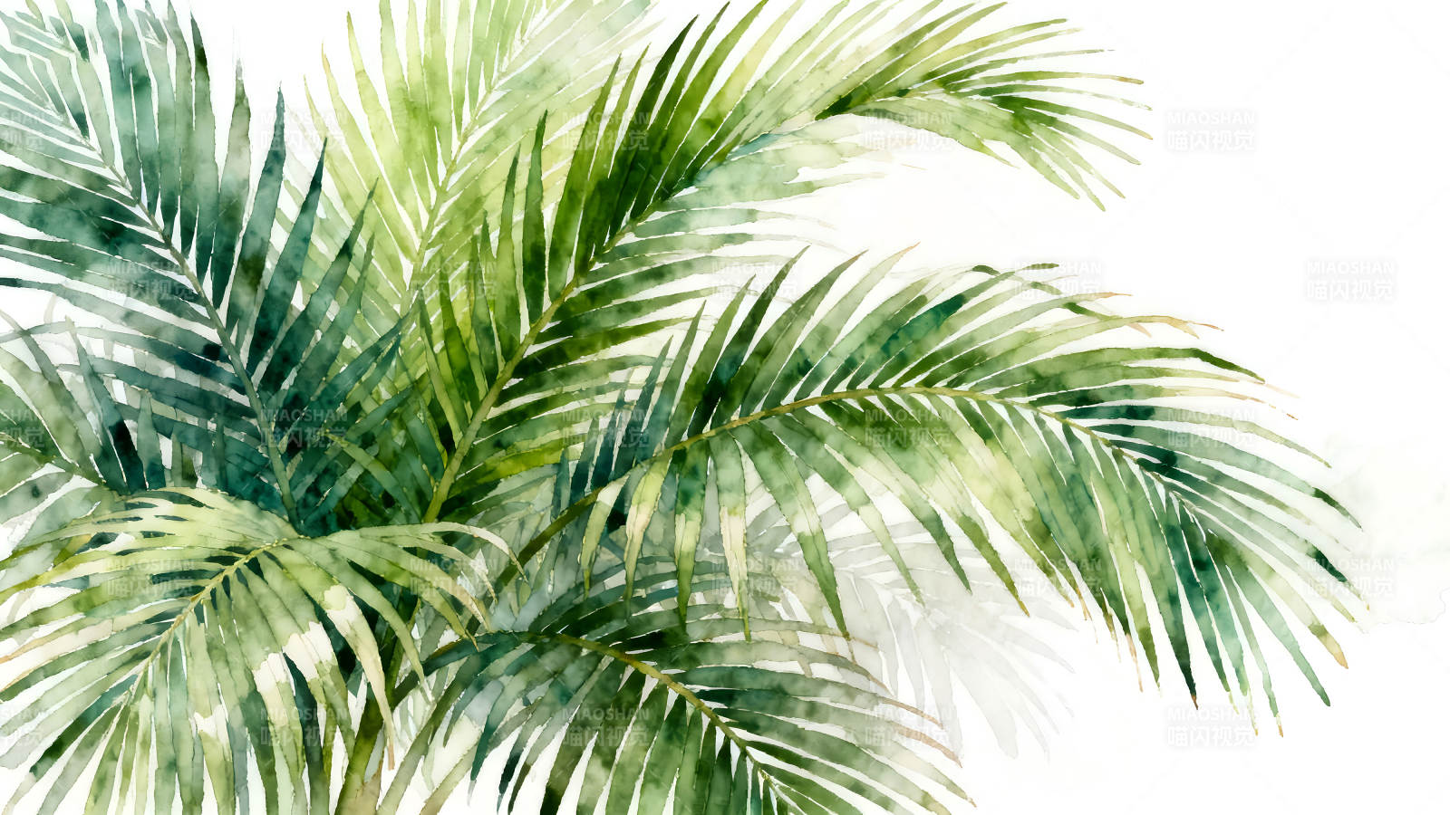 水彩风格的热带棕榈叶图片