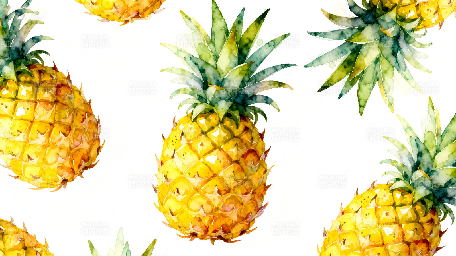 水彩菠萝图案白色背景鲜艳水果图片