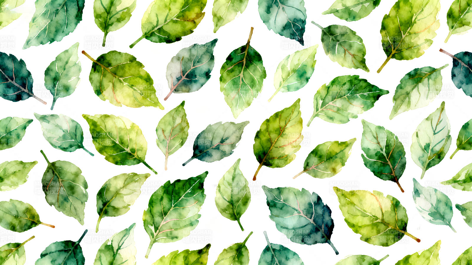 水彩风格的绿色叶子背景图片
