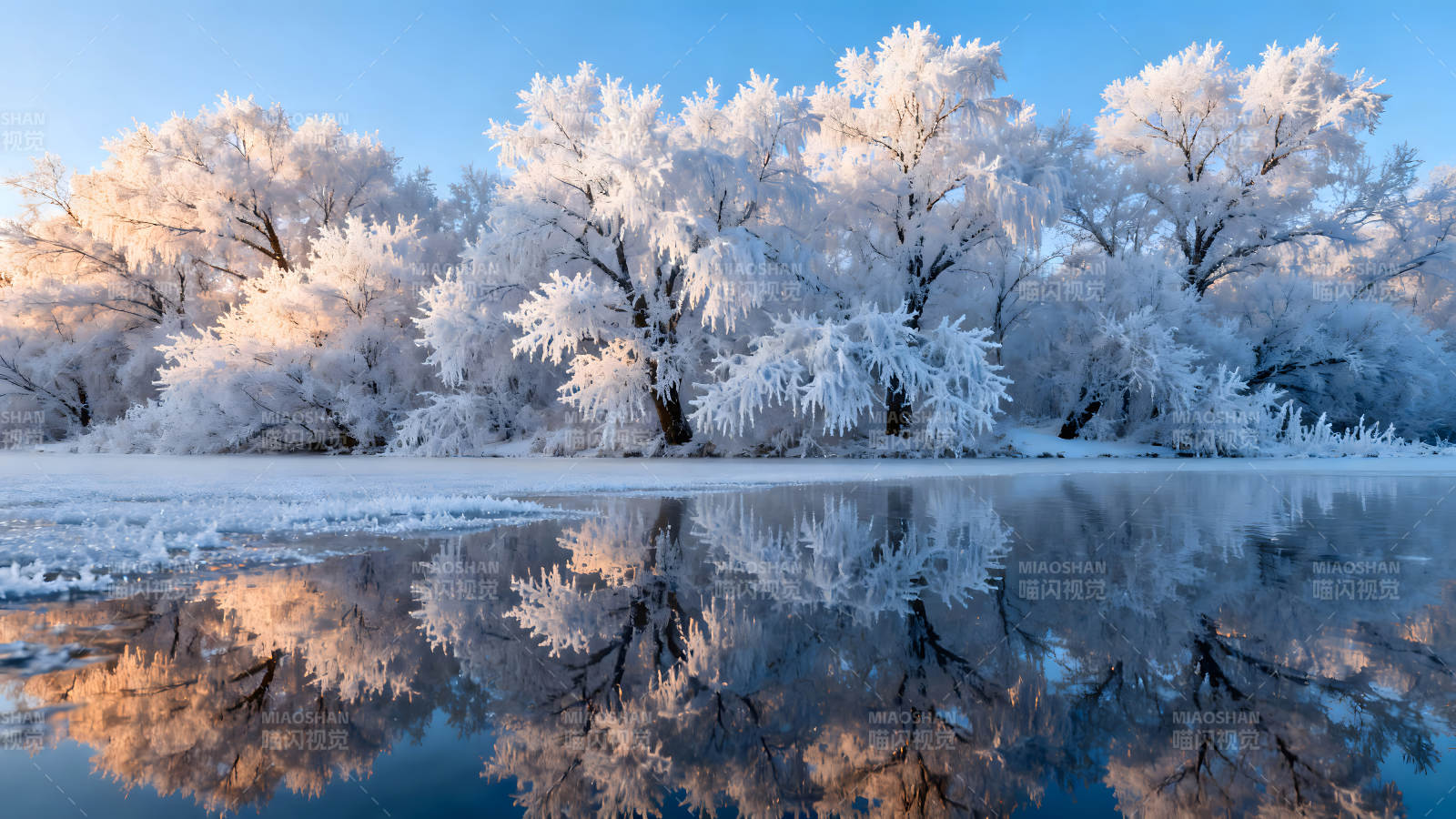 冰雪覆盖的树木倒影在水面图片