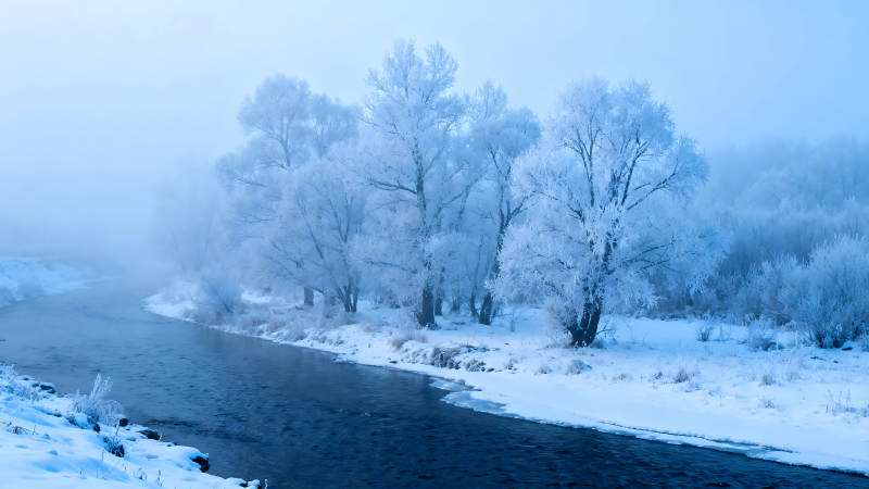 冬日河畔雾凇美景图片