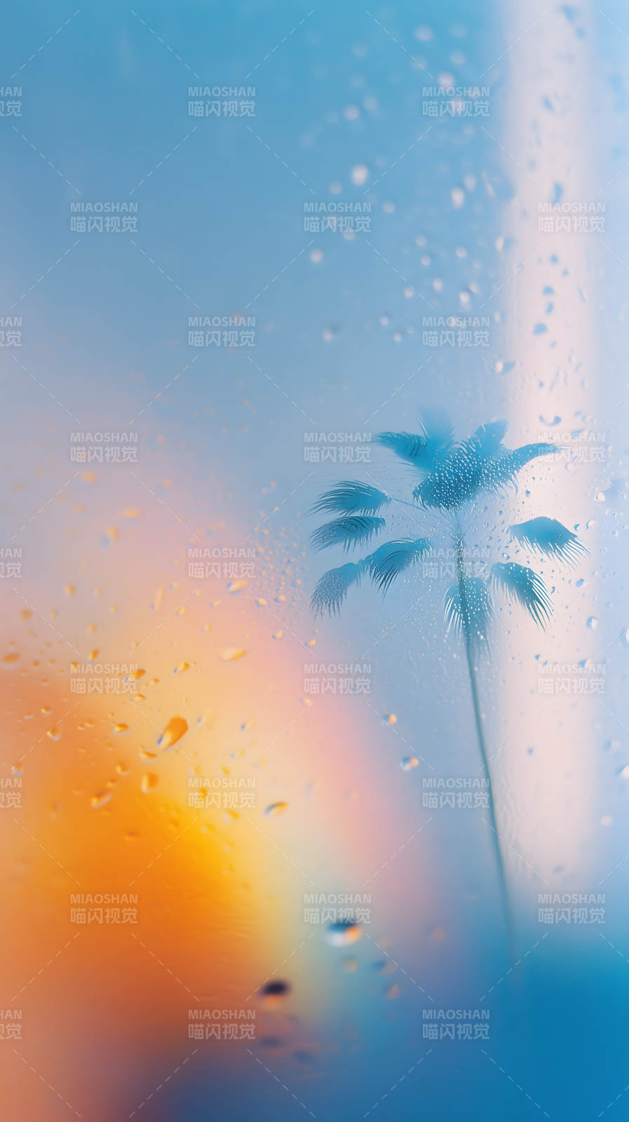 雨中棕榈映彩虹图片