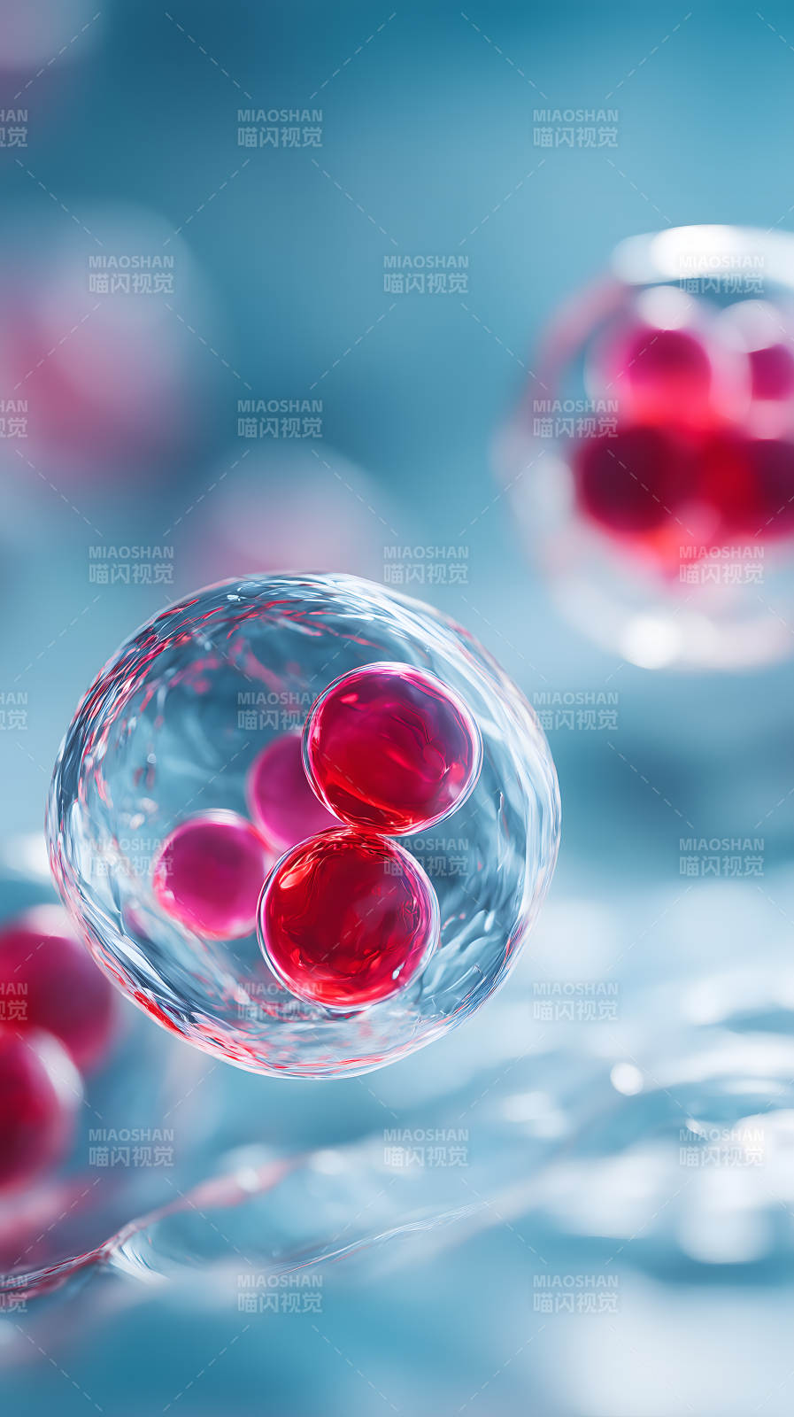 细胞组织微观世界图片