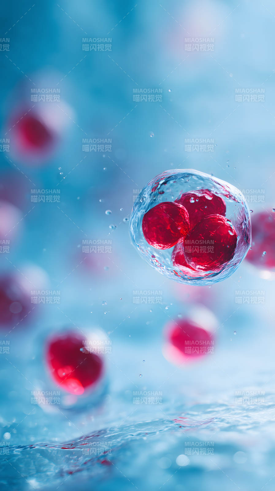 细胞分裂水珠微观世界图片