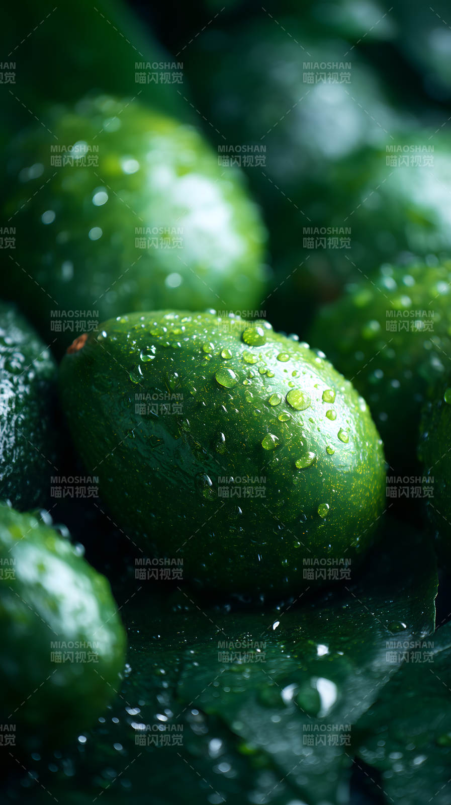 雨后翠绿牛油果图片